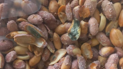 Köyceğiz Pazarı'nda 'Osmaniye Fıstığı' Tuzağı! Ucuz Diye Alanın Midesi Bozuluyor