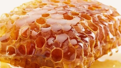 Köyceğiz Balı Doğal mı? Çam Balı ve Satış Noktaları