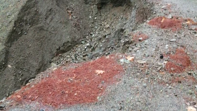 Köyceğiz Çayhisar Mahallesi’nde Yol Krizi: Öğrenciler Okula Gidemiyor