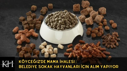Köyceğiz'de Can Dostları İçin İhale: Binlerce Paket Mama Alınacak!