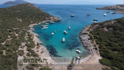 Bodrum Akvaryum Koyu Nerede? Cam Gibi Denizi Görenleri Şaşırttı!