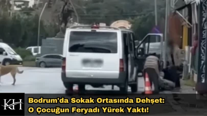 Bodrum'da Sokak Ortasında Şiddet: Kadını Zorla Arabaya Bindirdi