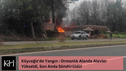 Köyceğiz'de Yangın : Ormanlık Alanda Alevler Yükseldi, Son Anda Söndürüldü!