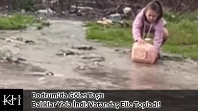Bodrum’da Gölet Taştı, Balıklar Yola İndi: Vatandaş Elle Topladı!