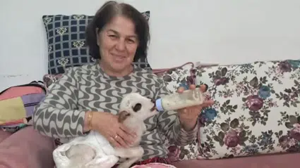 Yeşilyurt’ta Öksüz Kuzuya Evde Sevgi Dolu Bakım