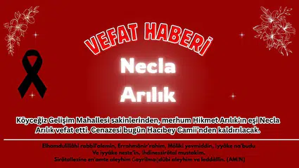 Köyceğiz'de Acı Haber: Necla Arılık Hayatını Kaybetti!