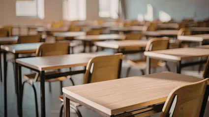 Muğla Veli-Der’den Sert Çıkış: Okullarda Can Güvenliği Kalmadı!