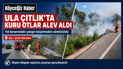 Ula Çıtlık’ta Yol Kenarında Yangın Çıktı