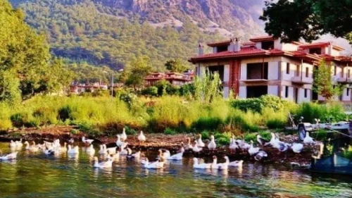 Akyaka BM Tarafından 2025’in En İyi Turizm Köyü Seçildi: Muğla’dan Küresel Başarı