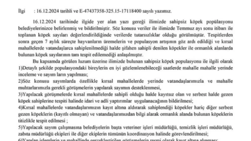 Köyceğiz'de Sahipsiz Köpeklere Yeni Yerleşim Alanları Belirlendi