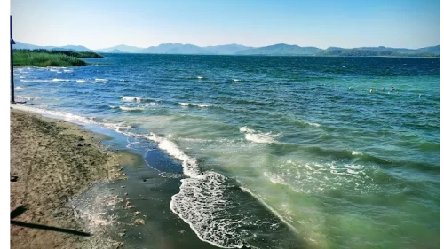 Köyceğiz Delta Plajı Nerede, Nasıl Gidilir, Neler Var? Göl Kıyısında Kamp ve Etkinlik Rehberi
