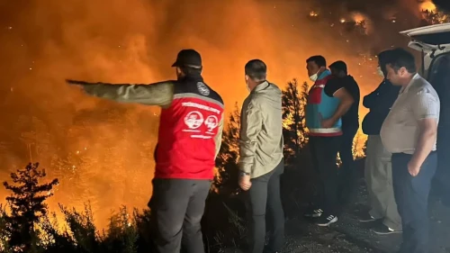Köyceğiz Kaymakamı Mert Kumcu’dan Yangın Açıklaması: “Mücadelemiz Aralıksız Sürüyor”