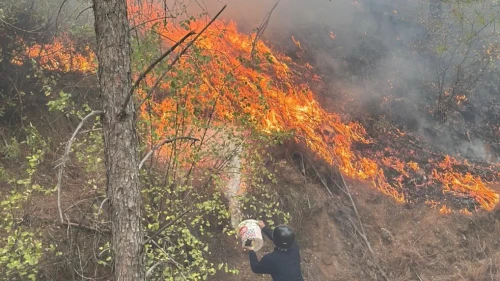 Köyceğiz'de orman yangını! 58 ev boşaltıldı, 173 kişi tahliye edildi