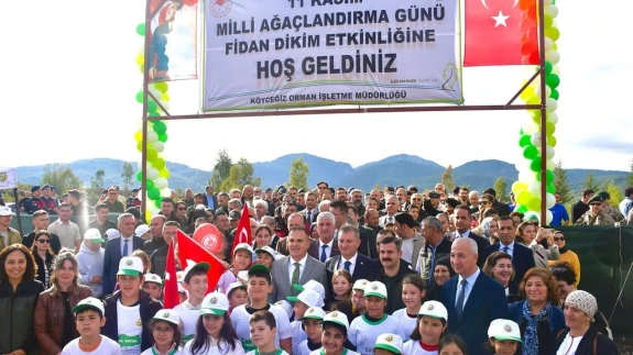 Köyceğiz’de Yangın Alanına Umut Dikildi: Fidanlar Toprakla Buluştu