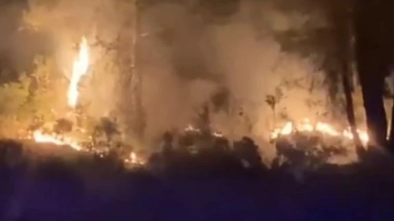 Kavaklıdere'de Orman Yangını Çıktı: Ekipler Müdahale İçin Sevk Edildi