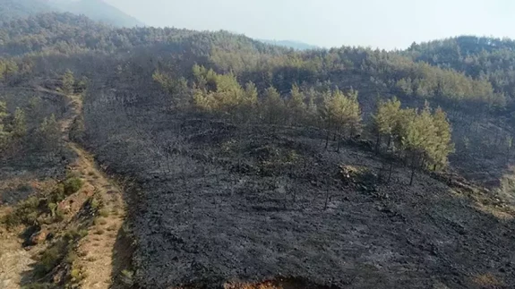 Köyceğiz’deki Orman Yangını 63 Saatte Kontrol Altına Alındı: 3 Bin Hektar Zarar Gördü