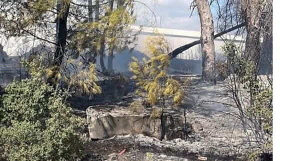 Muğla Menteşe’de Trafoda Çıkan Yangın Ormana Sıçradı