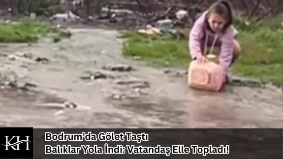Bodrum’da Gölet Taştı, Balıklar Yola İndi: Vatandaş Elle Topladı!