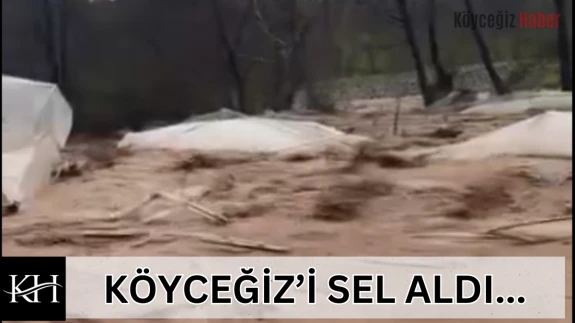 Köyceğiz'de Şiddetli Yağış Sonrası Pınar Mahallesi’nde Dere Taştı