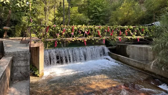 Köyceğiz Nerede ve Nasıl Gidilir? Köyceğiz Yol Tarifi ve Otobüs Seferleri 2026