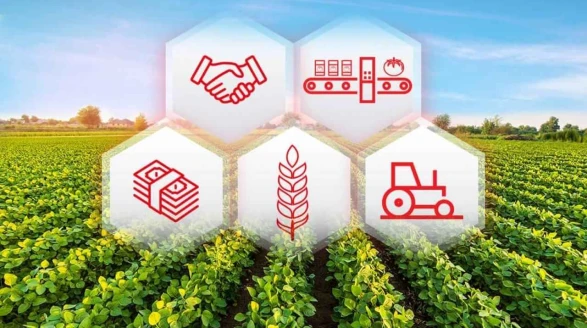 Muğla’da 12 Tarımsal Örgüt TODES’ten 1. Derece Aldı