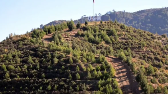 Dalaman’daki Yangın Alanları 6 Yılda Yeniden Yeşerdi