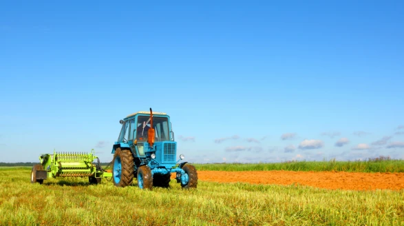 Köyceğiz'de 2026 Bitkisel Üretim Destekleri %27 Artırıldı