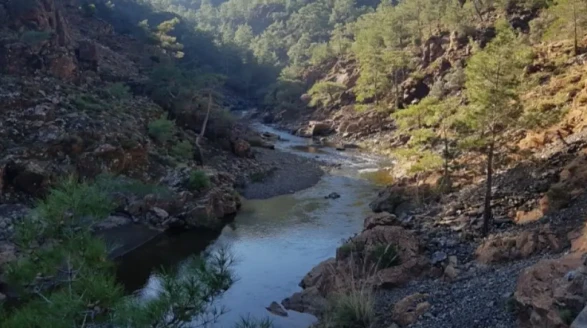 Köyceğiz’de Balcılar Barajı İçin Verilen ÇED Olumlu Kararı İptal Edildi