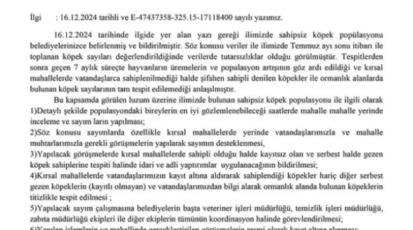 Köyceğiz'de Sahipsiz Köpeklere Yeni Yerleşim Alanları Belirlendi
