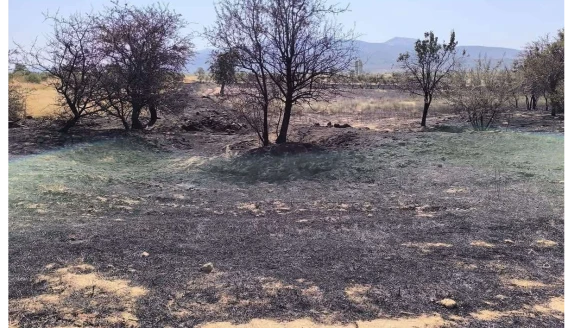 Muğla Yatağan’da Yangın Hacıbayramlar Mahallesi Yangını Büyümeden Söndürüldü!