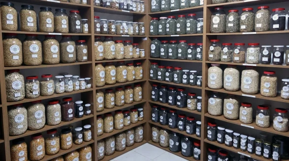 Muğla'dan 81 ile ücretsiz gönderiliyor! Tam 3 milyon ata tohumu dağıtılacak