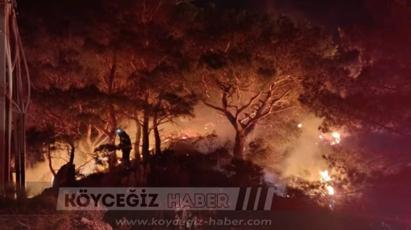 Bodrum’da Orman Yangını: 2 Dönüm Kül Oldu! Son Dakika Yangın