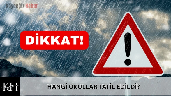 SONDAKİKA: Köyceğiz'de Okullar 13 Şubatta Kısmi Tatil Edildi!