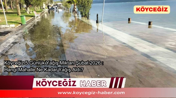 Köyceğiz 5 Günlük Yağış Miktarı Şubat 2026 : Hangi Mahalle Ne Kadar Yağış Aldı?