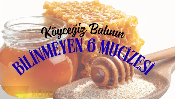 Bağışıklık Sisteminiz İçin Doğal Kalkan: Köyceğiz Balının Bilinmeyen 6 Mucizesi