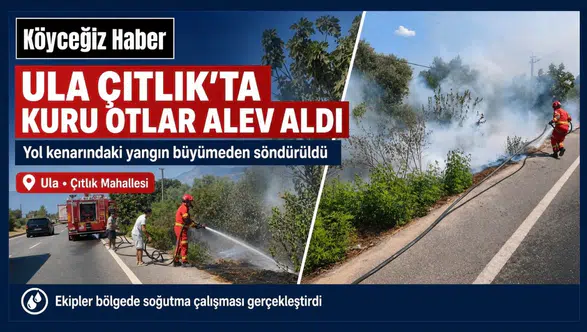 Ula Çıtlık’ta Yol Kenarında Yangın Çıktı