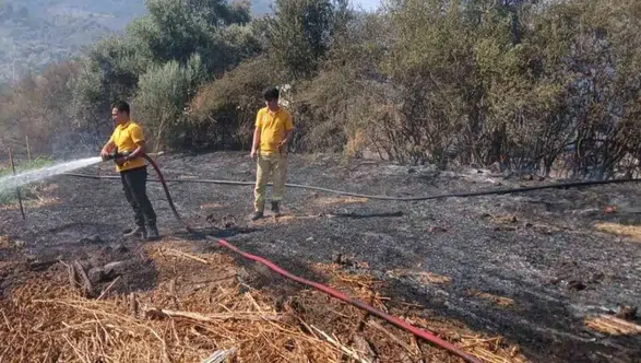 Milas Bafa'daki Tarım Arazisi Yangını Söndürüldü