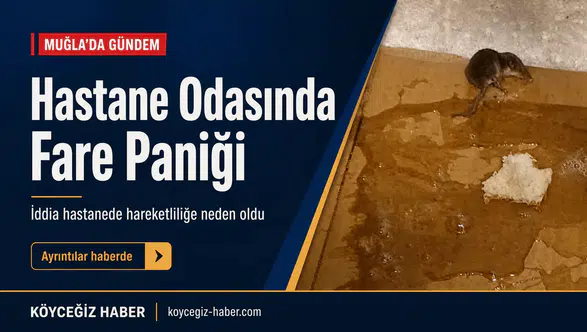 Hastane Odasında Fare Paniği: Muğla'da Kanser Hastasının İsyanı!