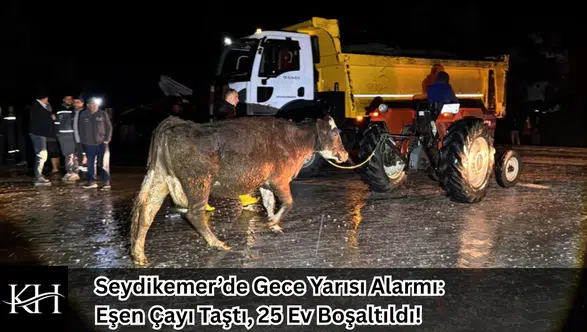 Seydikemer’de Gece Yarısı Alarmı: Eşen Çayı Taştı, 25 Ev Boşaltıldı!