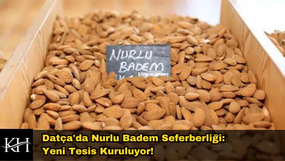 Datça'da Nurlu Badem Seferberliği: Yeni Tesis Kuruluyor!