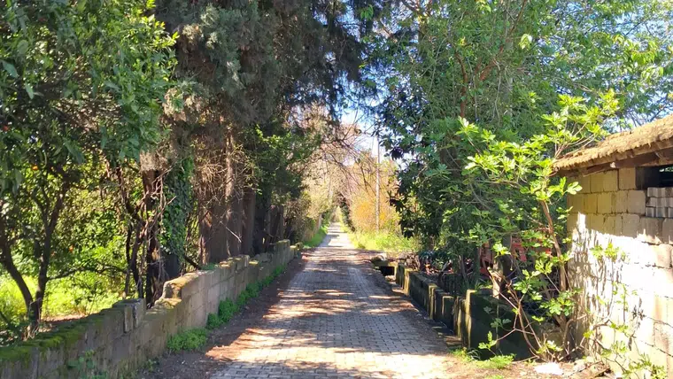 KÖYCEĞİZ’DE UZUN İNCE BİR YOLDAYIM