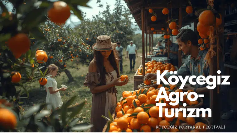 Köyceğiz Üretiyor Ama Neden Kazanamıyor?