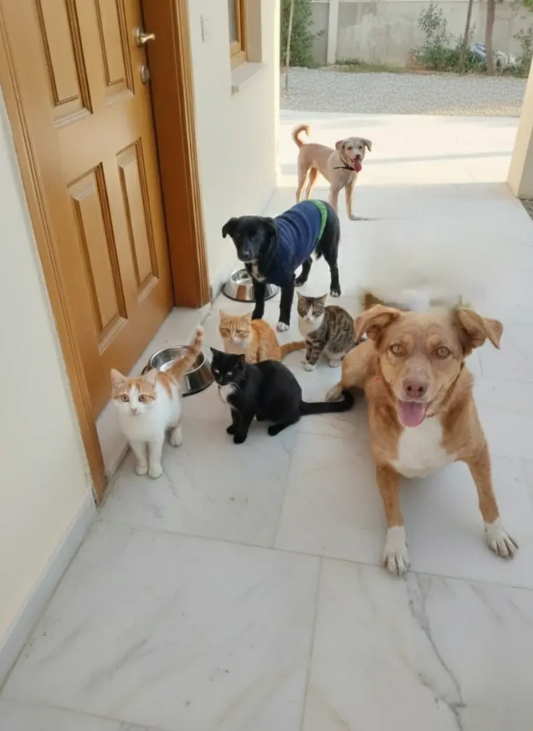 Sabah 07:00: Kim Uyandırdı Bu Ekibi?