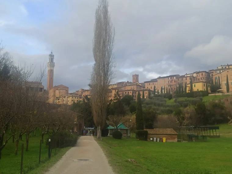 Siena Gezi Notları: İtalya’da Beyaz Yakadan Kaçış