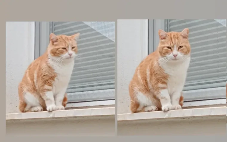 GÜNAYDIN "GİZEMLİ JÖNÜ" GERİ DÖNDÜ: TOMBİ’NİN SESSİZ DÖNÜŞÜ