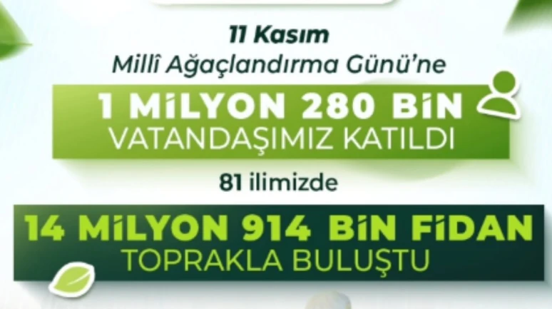 Yeşil Vatan Seferberliği: 14 milyon Fidan Toprakla Buluştu