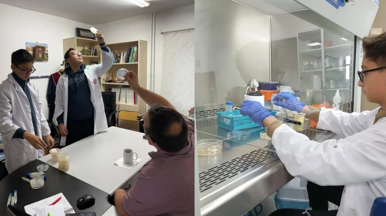 Köyceğiz BİLSEM’den TÜBİTAK’a Zeytin Projesi