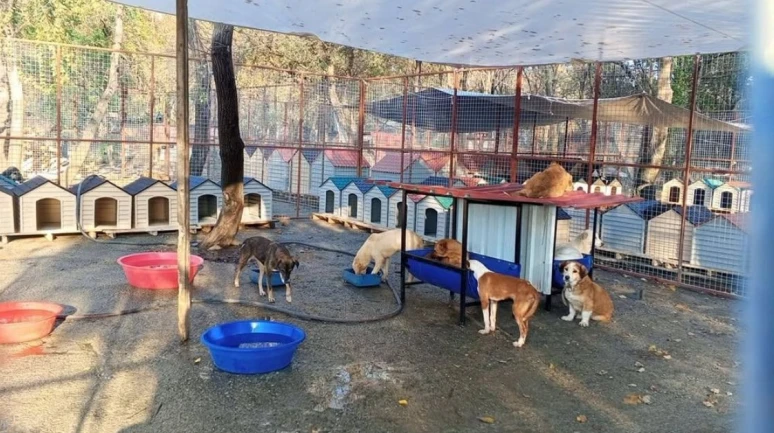 Köyceğiz Belediyesi Barınağına 95 Plastik Kulübe ve 8 Yemlik Kuruldu