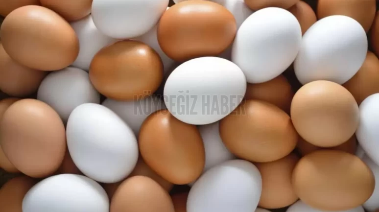 Yumurta Fiyatları Uçuşta: 120 Günde Yüzde Yüz Zamlandı!