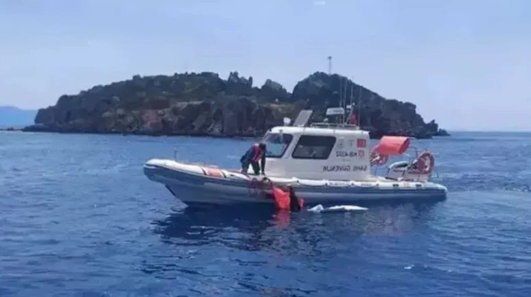 Bodrum'dan yüzerek Yunanistan'a geçmeye çalıştılar! Kıskıvrak yakalandılar